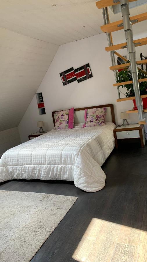 Chalet L Ecrin Vert Plaine Εξωτερικό φωτογραφία